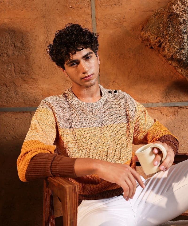 Men's Multicolor Casual Colorblocked Sweater