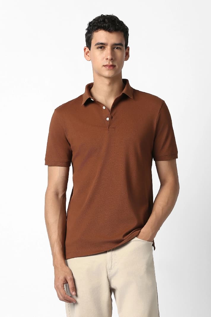 Men's Brown Formal Solid Regular Fit Polo Tshirt