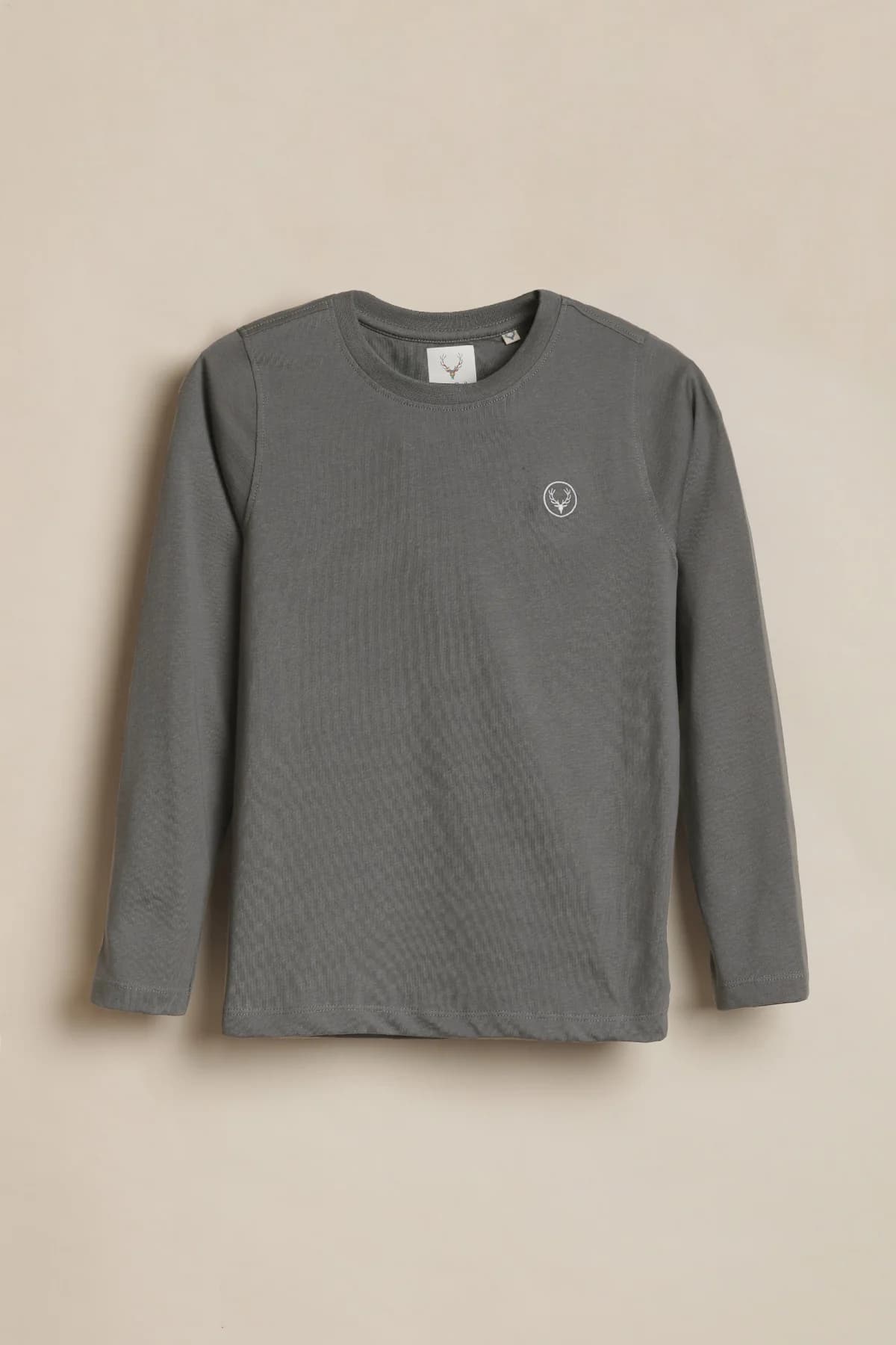 Boys Grey Casual Solid Regular Fit Full Sleeves Tshirt