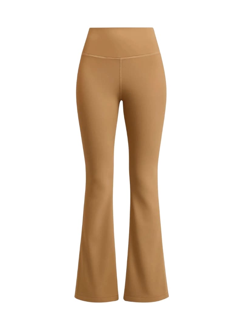 Women's Brown Casual Solid Regular Fit Legging