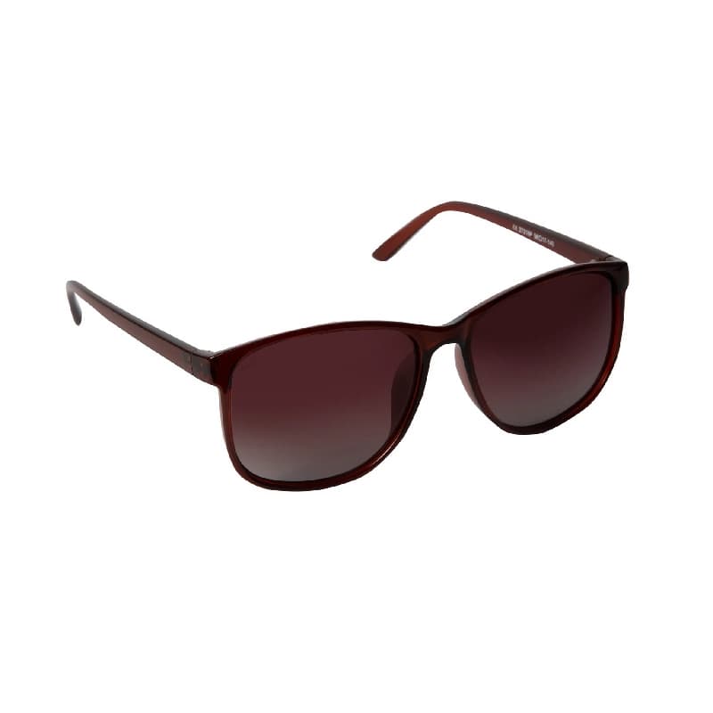 Unisex Brown Casual Wayfarer Sunglass