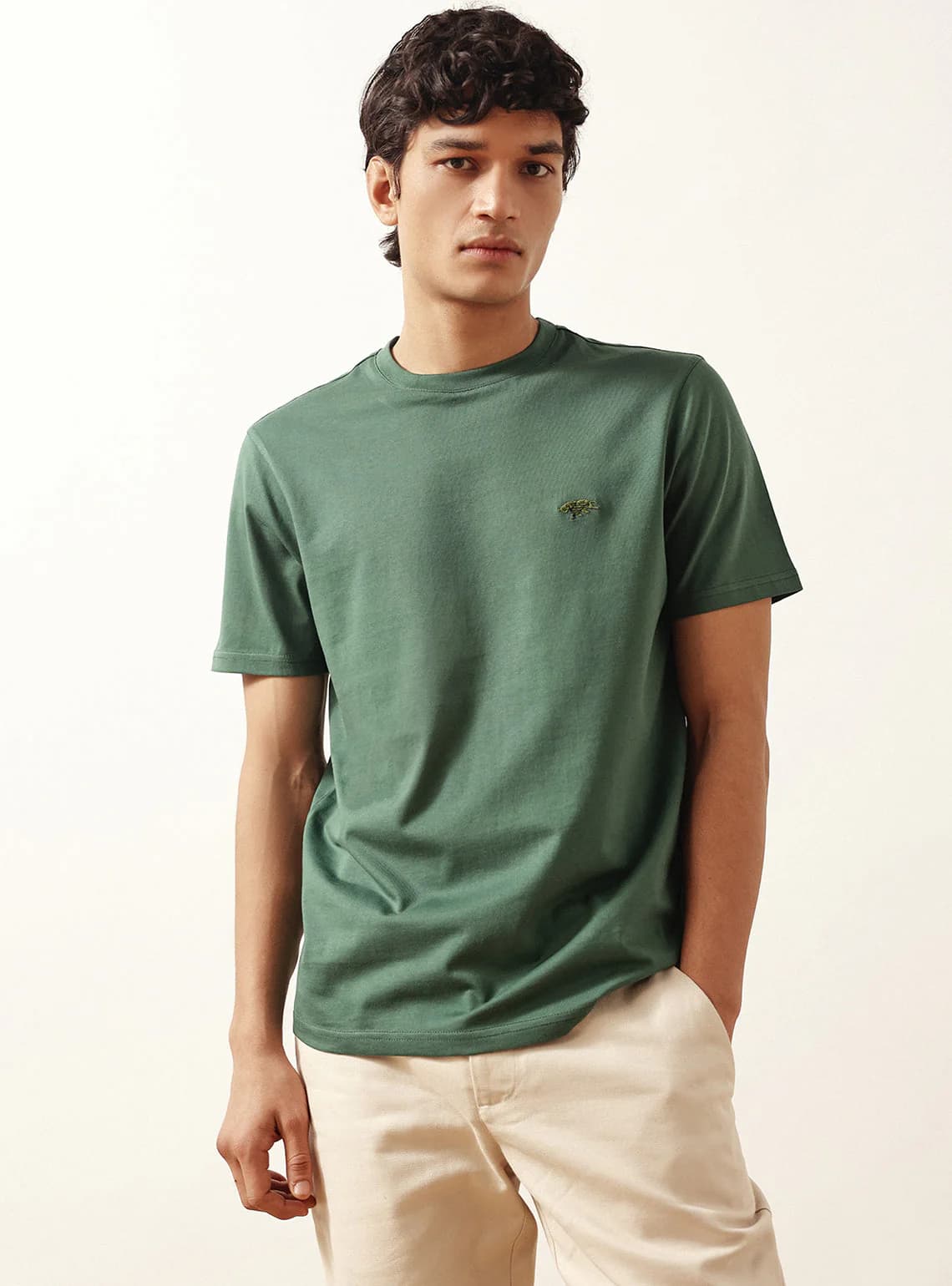 Men's Green Casual Solid Half Sleeves Tshirt