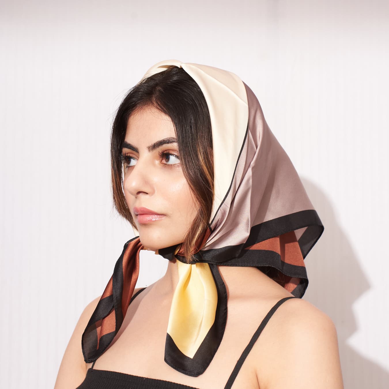 Women's Multicolor Casual EarthTone Block Scarf