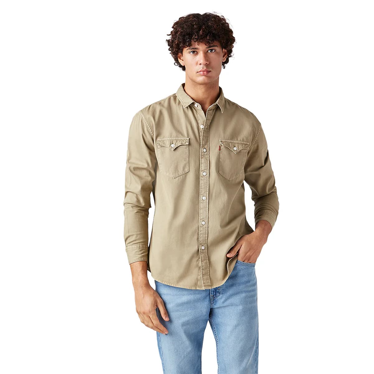 Men's Green Casual Solid Spread Collar Cotton Slim Fit Shirt
