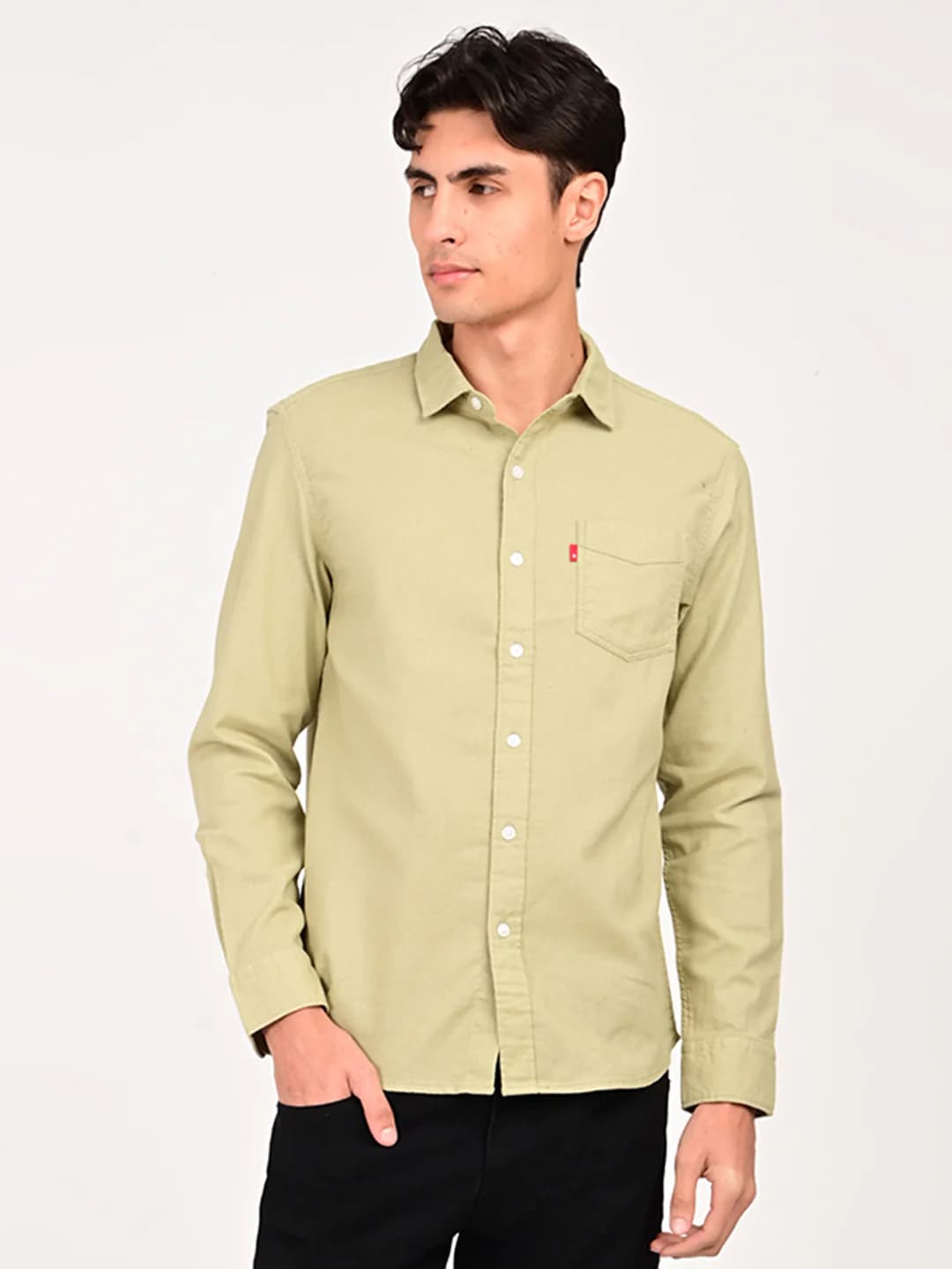 Men's Green Casual Solid Spread Collar Cotton Slim Fit Shirt