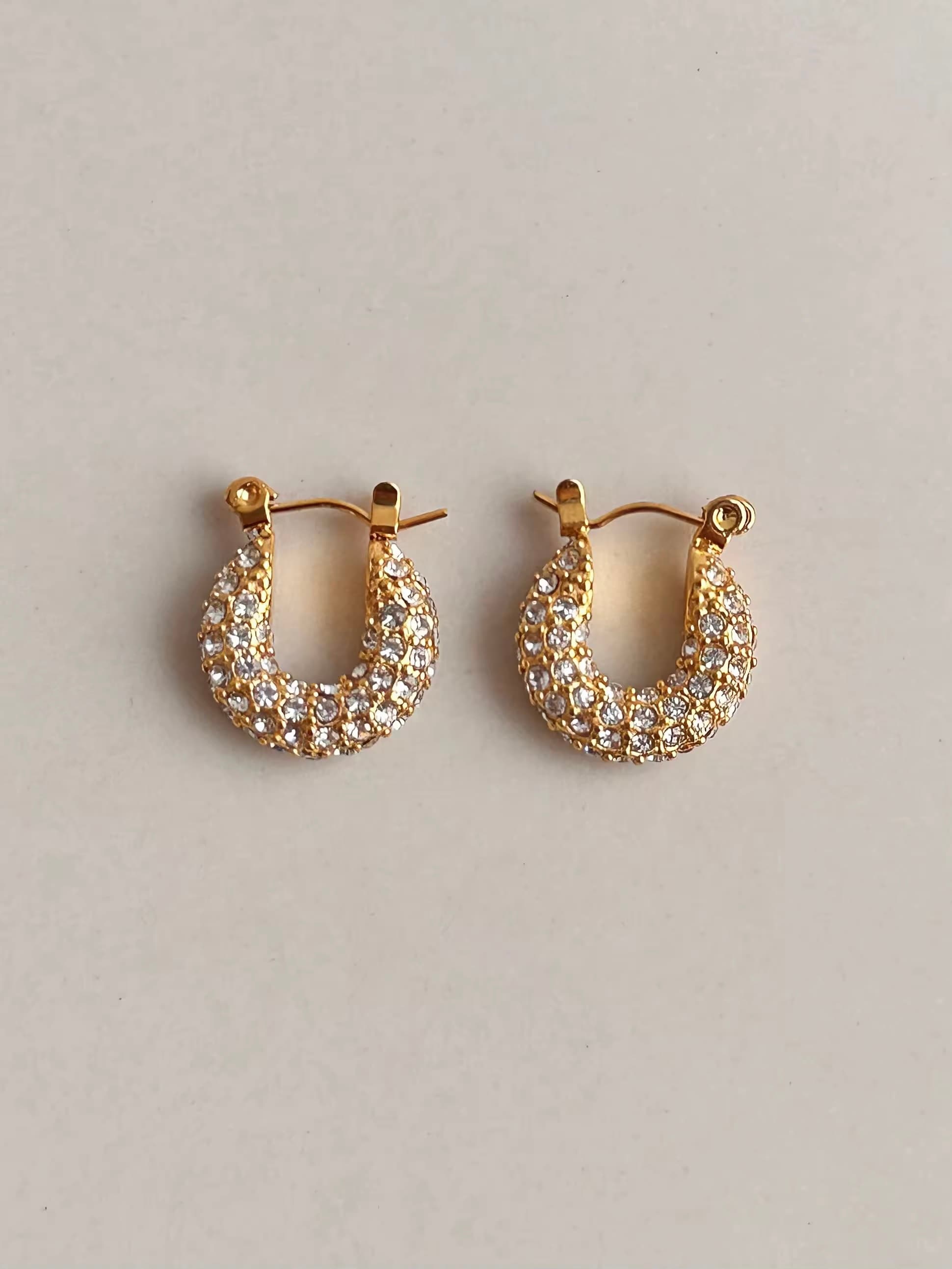 Women's Nova Zircon Studded Hoop Earrings in Gold Tone