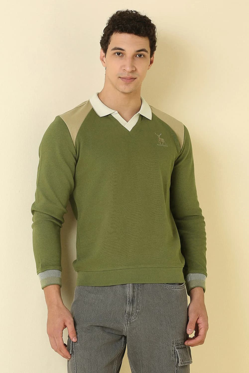 Men's Green Casual Regular Fit Cotton Full Sleeves Sweatshirt