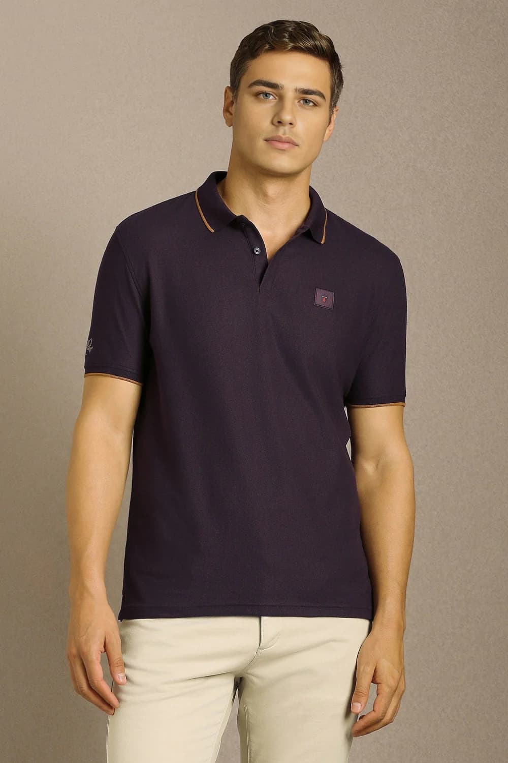 Men's Purple Casual Slim Fit Cotton Half Sleeves Polo Tshirt