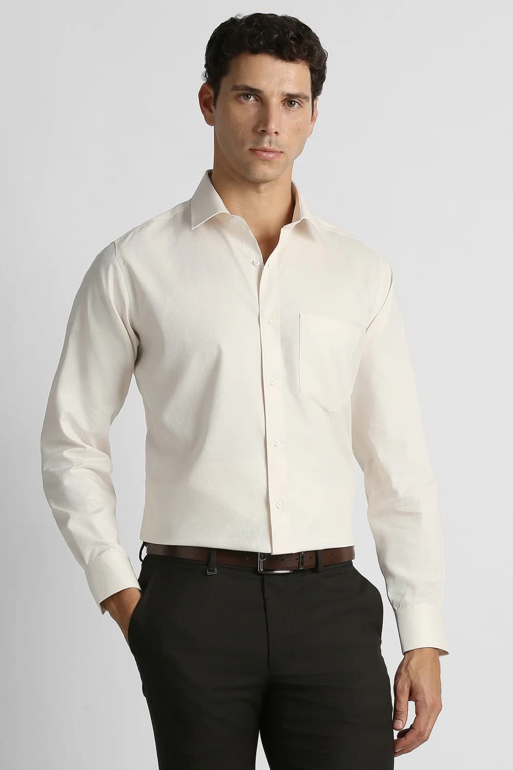 Men's Beige Formal Regular Fit Cotton Full Sleeves Shirt