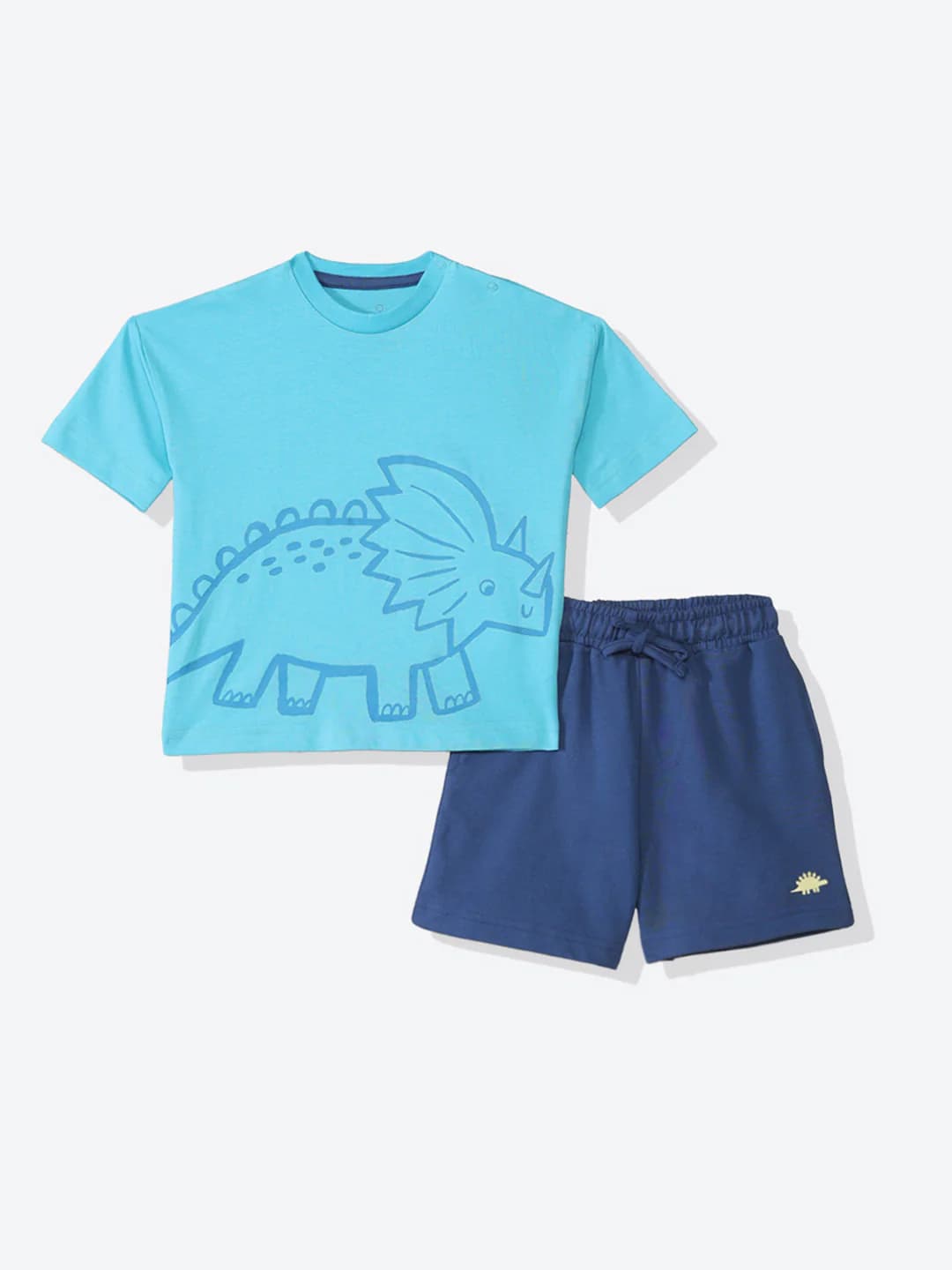 Boys Blue Casual Printed Regular Fit Tshirt and Mid Rise Shorts