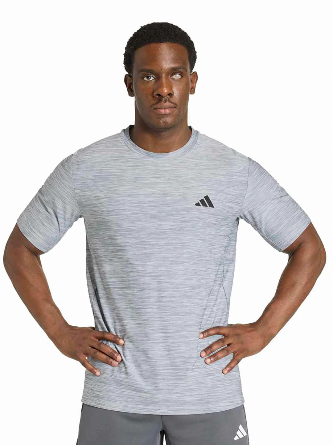 Men's Grey Casual Regular Fit Half Sleeves Printed Tshirt