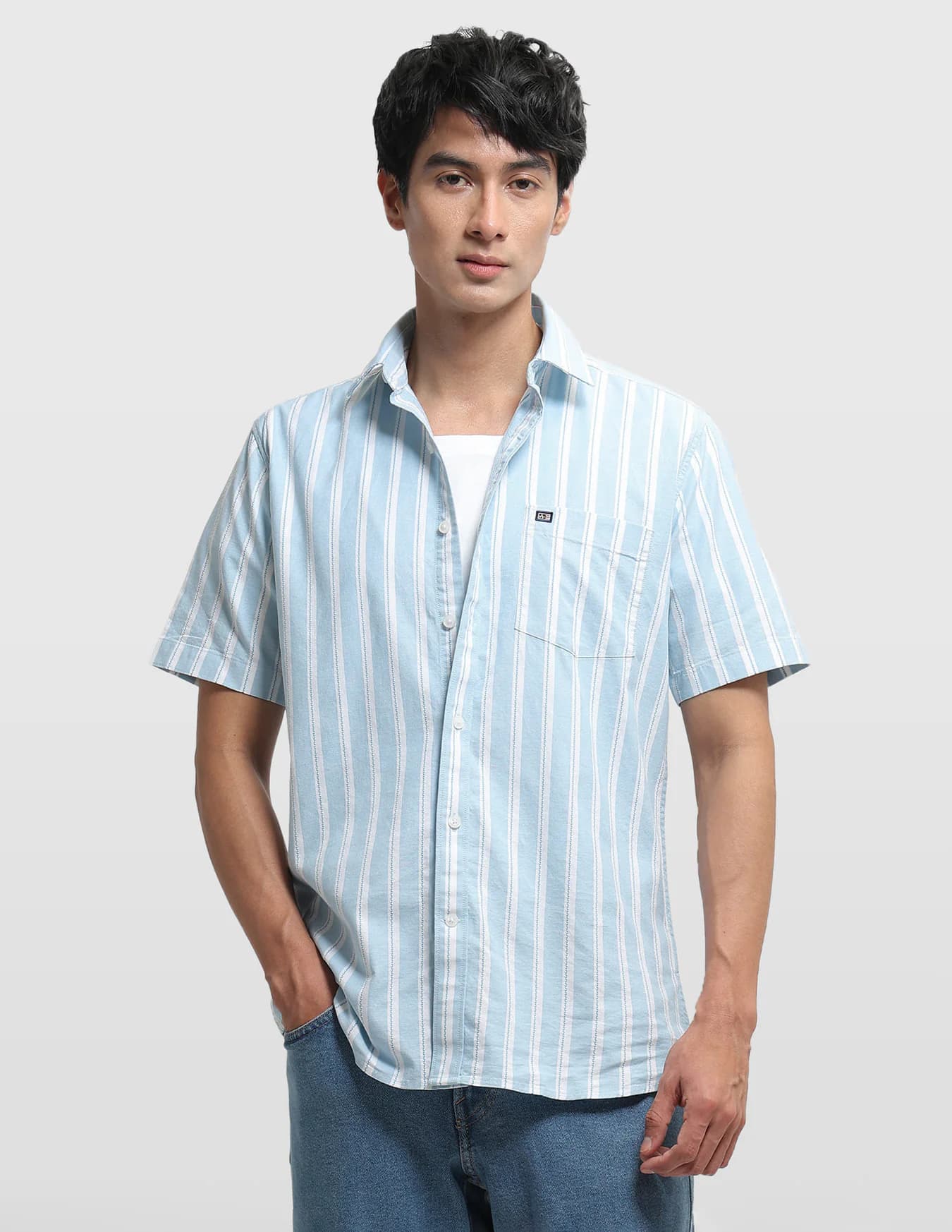 Men's Blue Casual Regular Fit Half Sleeves Striped Shirt
