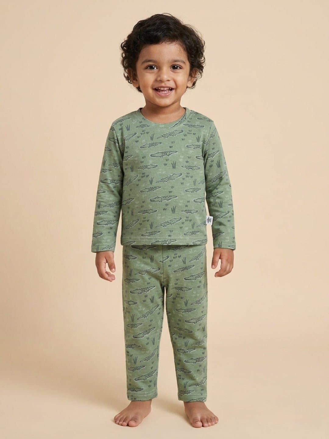 Boys Green Casual Printed Regular Fit Tshirt and Mid Rise Pyjama