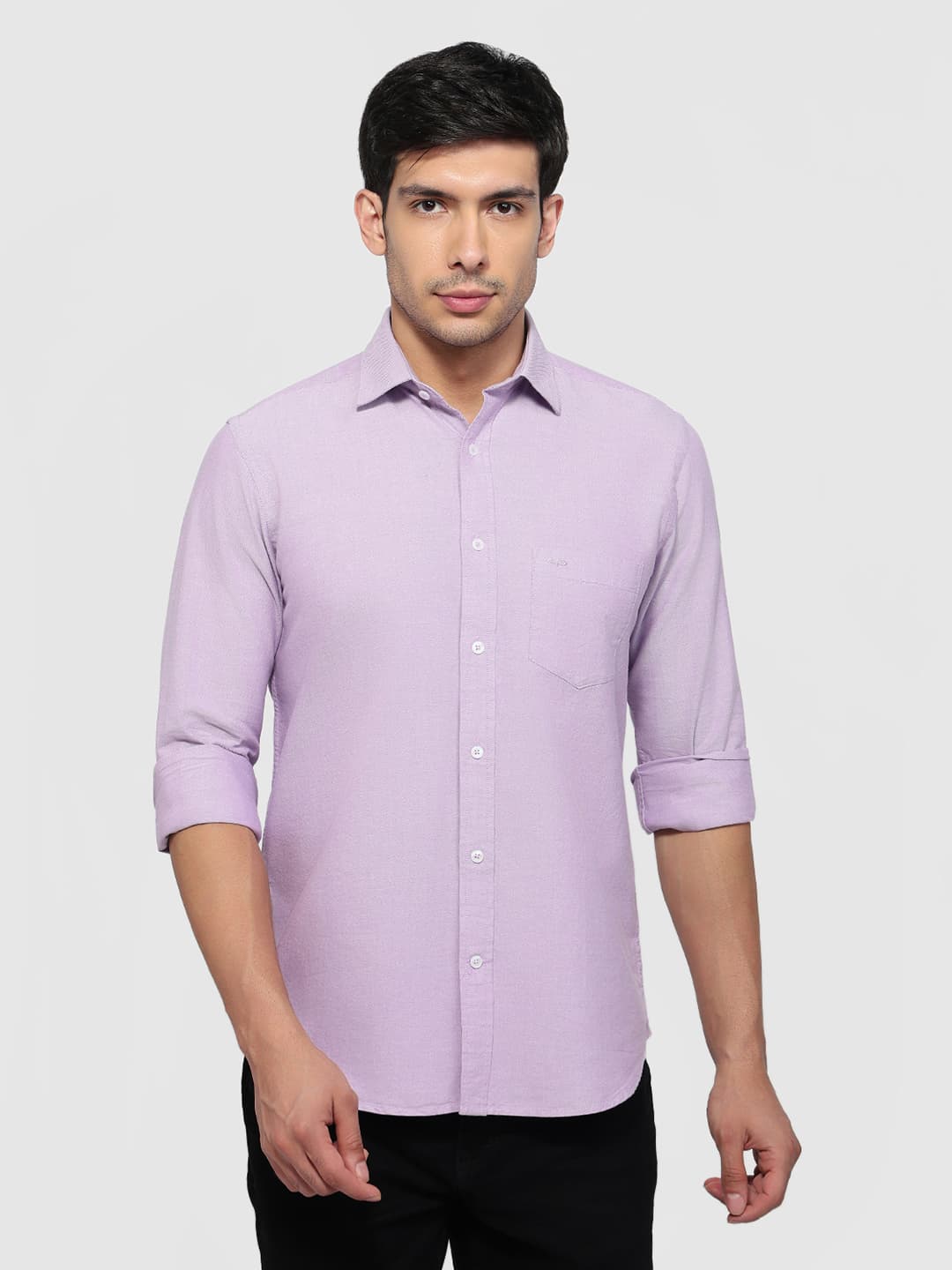 Men's Medium Violet Regular Fit Casual Full Sleeves Cotton Shirt